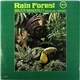 Walter Wanderley - Rain Forest